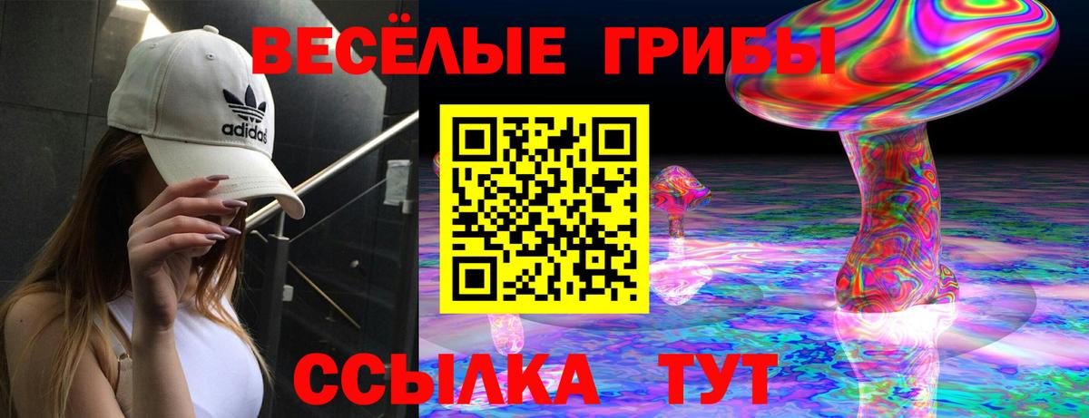 Псилоцибиновые грибы прущие грибы  Псилоцибиновые грибы Psilocybe  Фурманов  Вход с VPN 